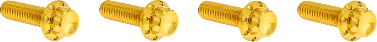 ARLEN NESS Bolt Kit - Transmission Top Cover - 12-Point - Titanium - Gold 300-979