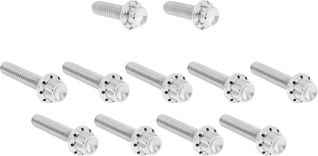 ARLEN NESS Bolt Kit - Cam Cover/Point Cover - Titanium - 12-Point - Polished 300-980