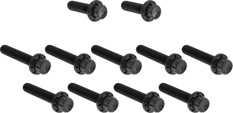 ARLEN NESS Bolt Kit - Cam Cover/Point Cover - Titanium - 12-Point - Black 300-981