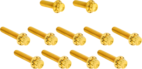 ARLEN NESS Bolt Kit - Cam Cover/Point Cover - Titanium - 12-Point - Gold 300-982