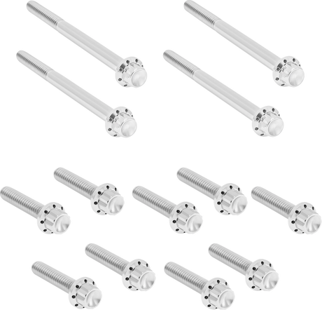 ARLEN NESS Bolt Kit - Primary Cover - Titanium - 12-Point - FLT - Polished 300-926