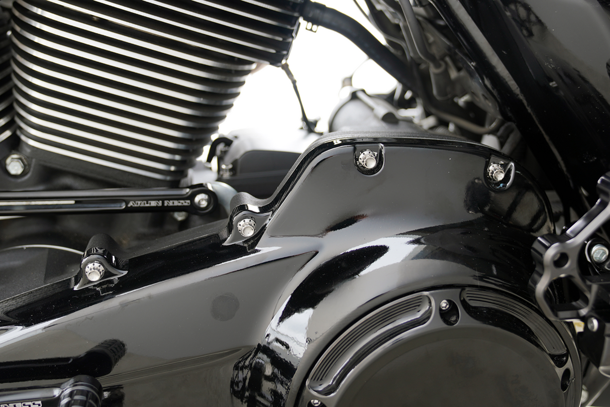 ARLEN NESS Bolt Kit - Primary Cover - Titanium - 12-Point - FLT - Polished 300-926