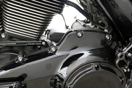 ARLEN NESS Bolt Kit - Primary Cover - Titanium - 12-Point - FLT - Polished 300-926