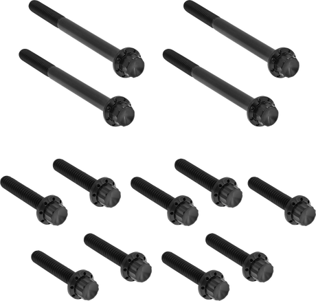 ARLEN NESS Bolt Kit - Primary Cover - Titanium - 12-Point - FLT - Black 300-927