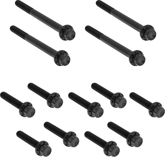 ARLEN NESS Bolt Kit - Primary Cover - Titanium - 12-Point - FLT - Black 300-927