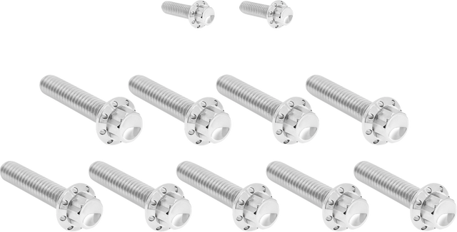 ARLEN NESS Bolt Kit - Cam Cover/Point Cover - Titanium - 12-Point - Polished 300-932