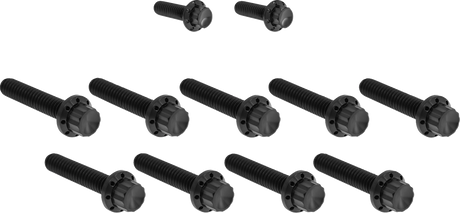 ARLEN NESS Bolt Kit - Cam Cover/Point Cover - Titanium - 12-Point - Black 300-933