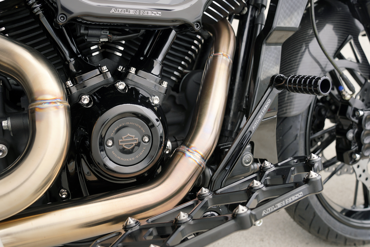 ARLEN NESS Bolt Kit - Cam Cover/Point Cover - Titanium - 12-Point - Polished 300-932