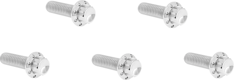 ARLEN NESS Bolt Kit - Derby Cover - 12-Point - Titanium - Polished 300-938