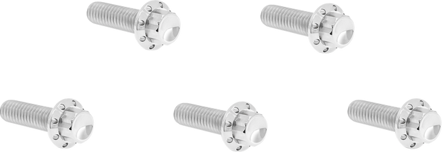 ARLEN NESS Bolt Kit - Derby Cover - 12-Point - Titanium - Polished 300-938