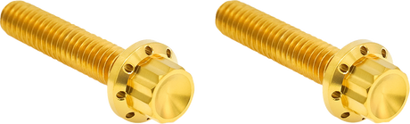 ARLEN NESS Bolt Kit - Hydraulic Clutch - Titanium - 12-Point - M8/Twin Cam - Gold 300-708