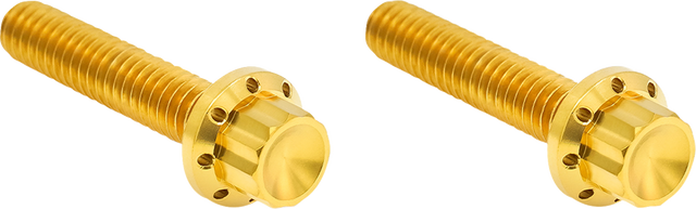 ARLEN NESS Bolt Kit - Hydraulic Clutch - Titanium - 12-Point - M8/Twin Cam - Gold 300-708