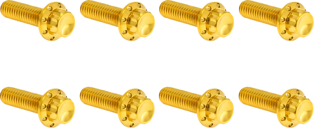 ARLEN NESS Bolt Kit - Trap Door - Titanium - 12-Point - M8 - Gold 300-711