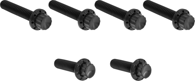 ARLEN NESS Bolt Kit - Cable Clutch - Titanium - 12-Point - M8/Twin Cam - Black 300-704