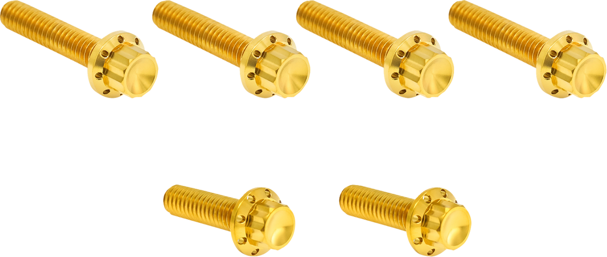 ARLEN NESS Bolt Kit - Cable Clutch - Titanium - 12-Point - M8/Twin Cam - Gold 300-705