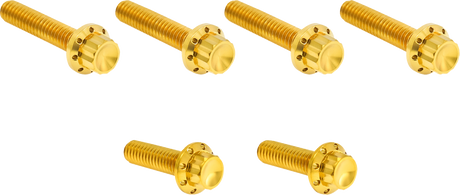 ARLEN NESS Bolt Kit - Cable Clutch - Titanium - 12-Point - M8/Twin Cam - Gold 300-705