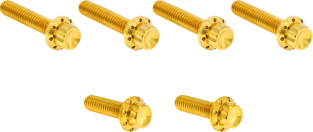 ARLEN NESS Bolt Kit - Cable Clutch - Titanium - 12-Point - M8/Twin Cam - Gold 300-705