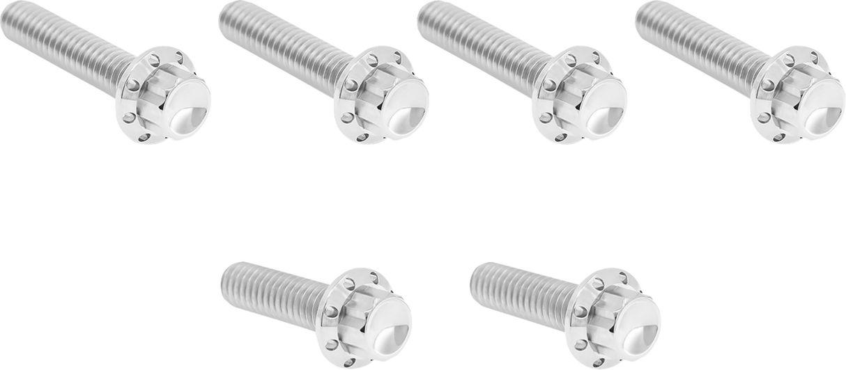 ARLEN NESS Bolt Kit - Cable Clutch - Titanium - 12-Point - M8/Twin Cam - Polished 300-703