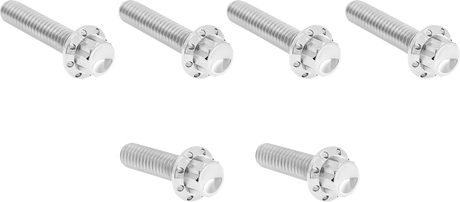 ARLEN NESS Bolt Kit - Cable Clutch - Titanium - 12-Point - M8/Twin Cam - Polished 300-703