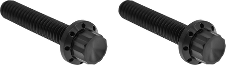 ARLEN NESS Bolt Kit - Hydraulic Clutch - Titanium - 12-Point - M8/Twin Cam - Black 300-707