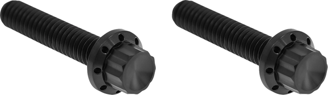 ARLEN NESS Bolt Kit - Hydraulic Clutch - Titanium - 12-Point - M8/Twin Cam - Black 300-707