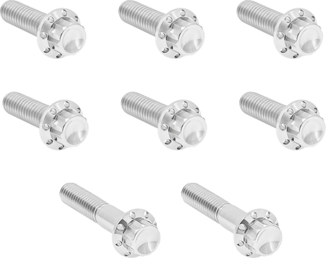 ARLEN NESS Bolt Kit - Trap Door - Titanium - 12-Point - Twin Cam/6-Speed - Polished 300-712