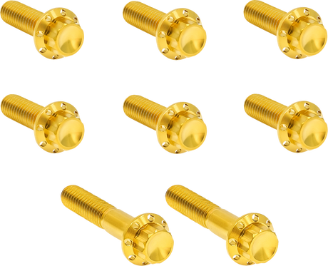 ARLEN NESS Bolt Kit - Trap Door - Titanium - 12-Point - Twin Cam/6-Speed - Gold 300-714