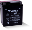 Yuasa YTX7L-BS Maintenance Free AGM 12-Volt Battery w/Bottle