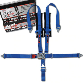 5 Point Harness