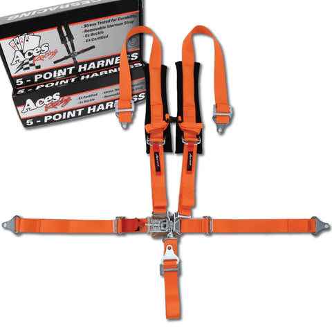 5 Point Harness