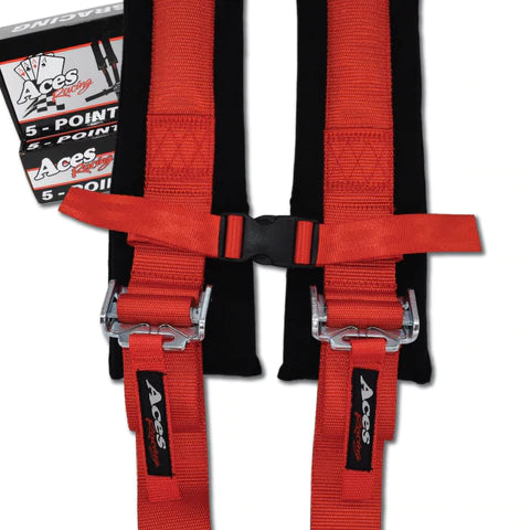 5 Point Harness