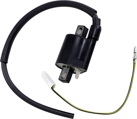 RICK'S MOTORSPORT ELECTRIC Ignition Coil - Yamaha/Suzuki 23-301