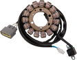 RICK'S MOTORSPORT ELECTRIC Stator - Yamaha 21-922