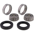 All Balls Racing 73-78 Harley-Davidson FX Super Glide Wheel Bearing Kit - Front