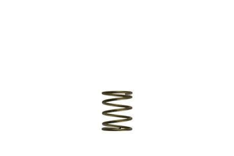 Turbosmart Gen-V WG45/50 3psi Orange Inner Spring - Automotive Performance Part