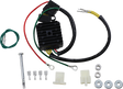 RICK'S MOTORSPORT ELECTRIC Hot Shot Rectifier/Regulator - Lithium-ion Compatible - Honda 14-164H
