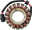 RICK'S MOTORSPORT ELECTRIC Stator - Kawasaki 21-220