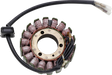 RICK'S MOTORSPORT ELECTRIC Stator - Kawasaki 21-223