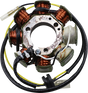 RICK'S MOTORSPORT ELECTRIC Hot Shot Stator - Honda 21-639H