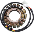 RICK'S MOTORSPORT ELECTRIC Stator - Kawasaki 21-727