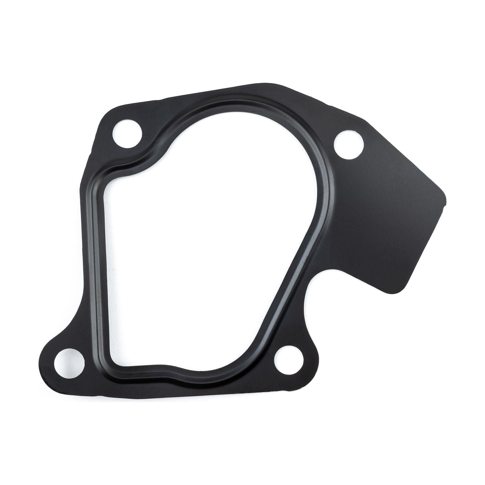 Polaris RZR Twin Cylinder to Exhaust Gasket | Evolution Powersports