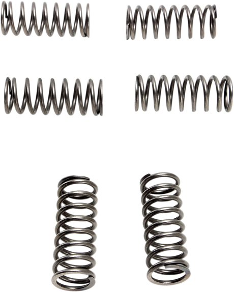 EBC Clutch Springs - 6 pcs. CSK198