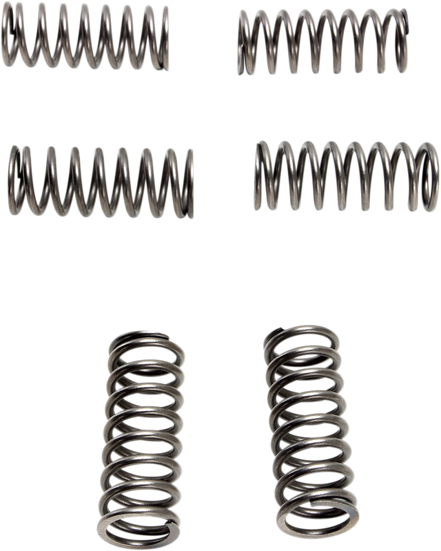 EBC Clutch Springs - 6 pcs. CSK198