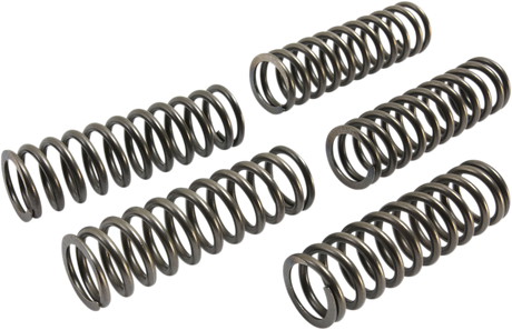 EBC Clutch Springs CSK223