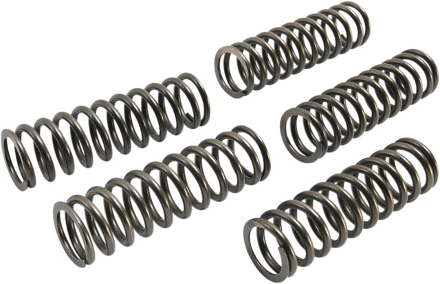 EBC Clutch Springs CSK223