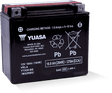 Yuasa YTX20-BS Maintenance Free AGM 12-Volt Battery w/Bottle