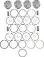 JE PISTONS Piston Kit - 76.00 mm - 13.5:1 CR - Kawasaki 284718