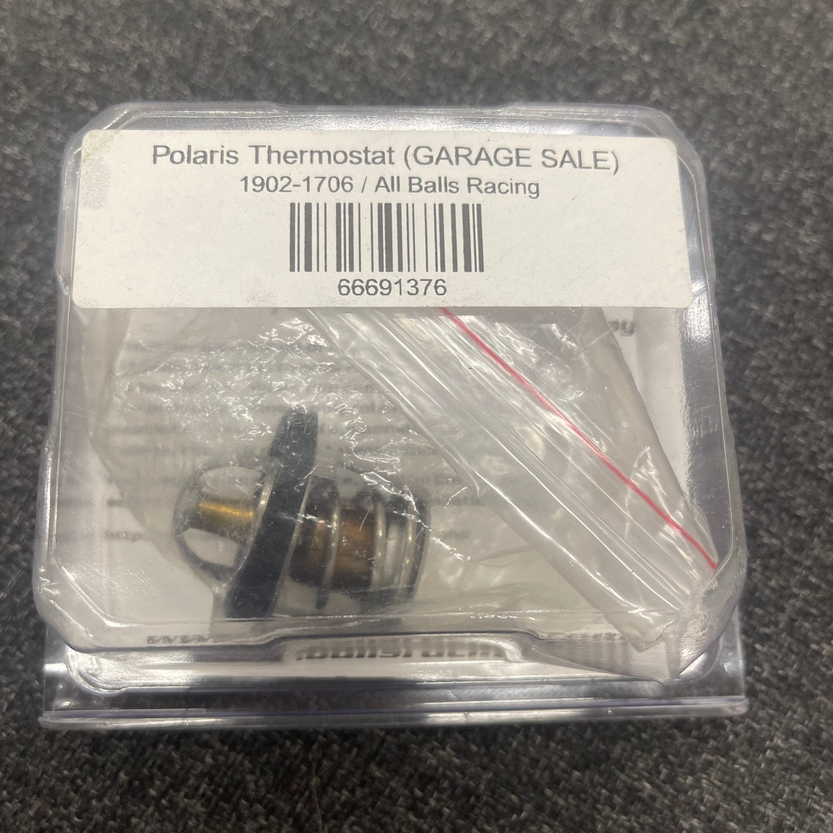 Polaris Replacement Thermostat (GARAGE SALE)