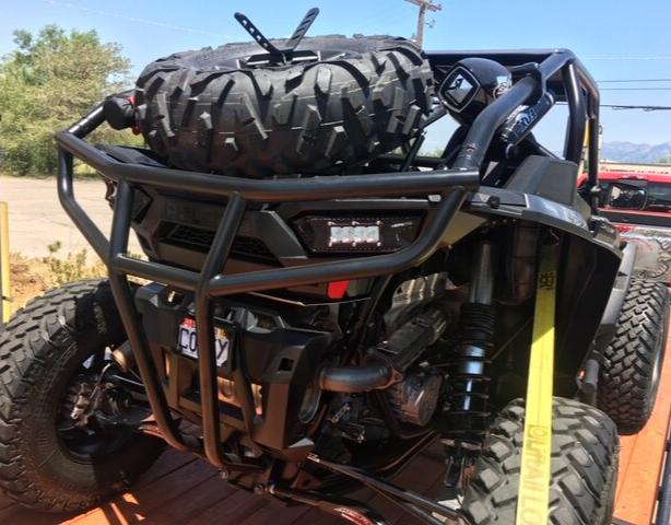 Polaris RZR 2-Seat Raw Standard Bumper Cage with Tire Carrier