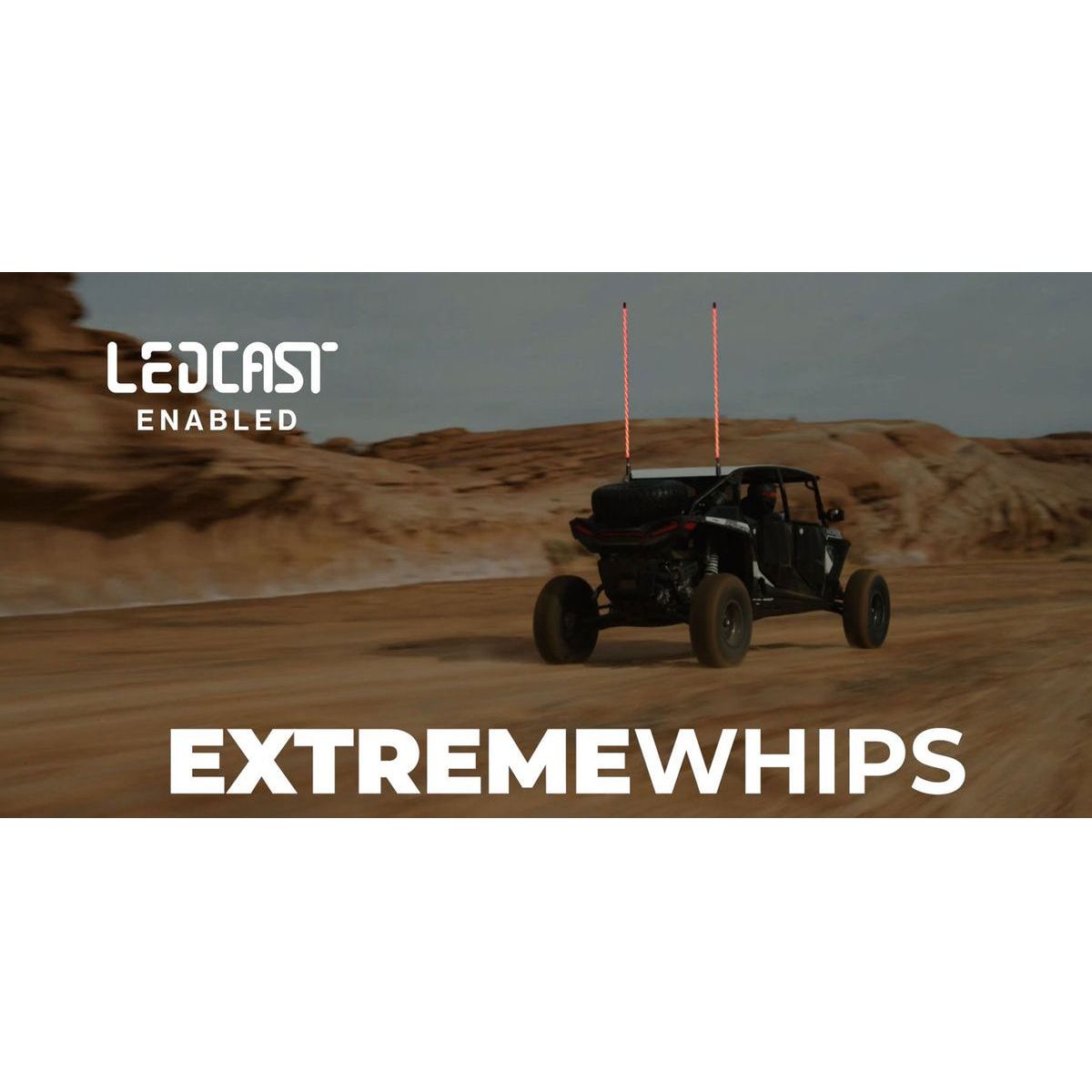 Extreme 4 FT Whips (Pair) + Controller | ECOXGEAR